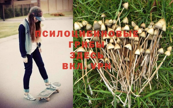 a pvp Аркадак