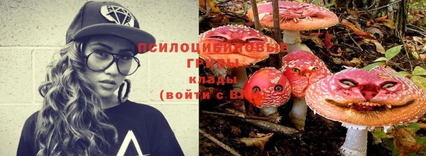 эйфоретик Арсеньев