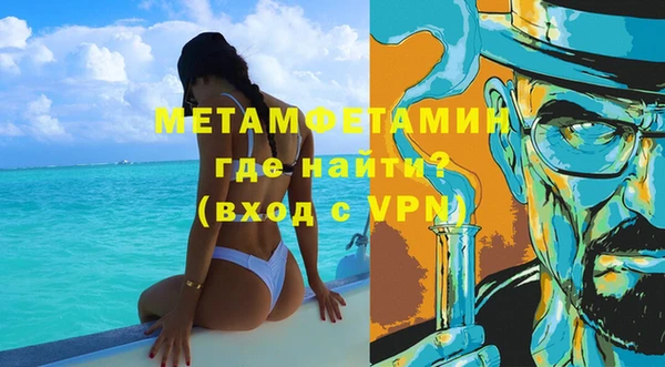 индика Новодвинск